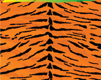 Realistic TIGER STRIPES Pattern Printed Heat Transfer Vinyl HTV