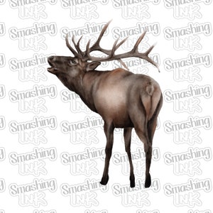 May include: A watercolor painting of an elk with large antlers, standing on a white background. The elk is facing to the left and has its head tilted up, as if it is calling out.