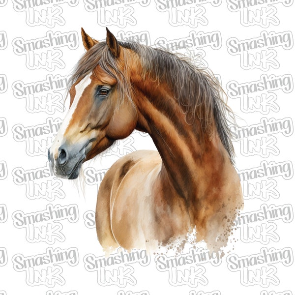 Beautiful Horse 2 Apparel Transfer - Available in Heat Transfer, DTF (Direct to Film), or Sublimation, Iron On Shirt Transfer