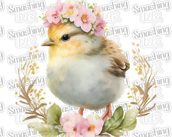 Baby Chick ~ Apparel Transfer | DTF | Iron On | Sublimation | HTV