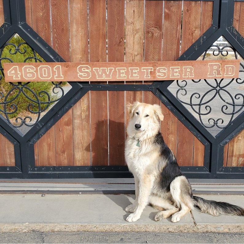 Address Sign Outside Carved Custom Personalized Stained Redwood 5 x 68 with Optional Reflective Beads for High Visibility Outside 108-2 image 1