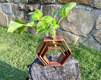 Triple Hexagon Propagation Holder