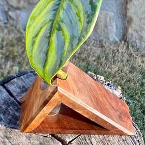 May include: A wooden triangular plant stand with a clear glass tube for holding a single plant cutting. The stand is made of dark brown wood and has a natural finish. A variegated green leaf is in the tube.