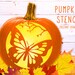 Butterfly Pumpkin Stencil, Butterfly Printable Pumpkin Stencil, Jack O ...