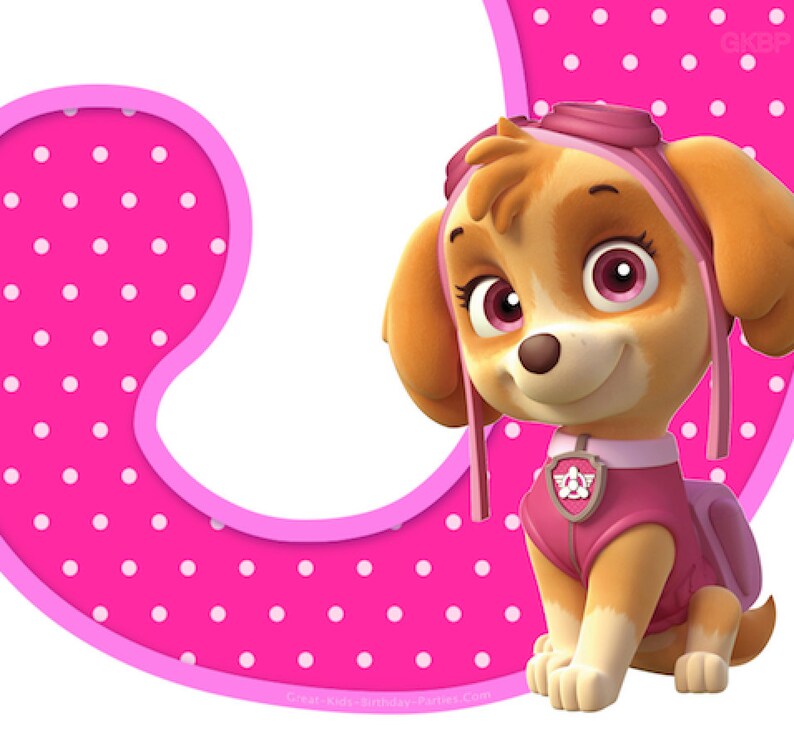 paw-patrol-skye-paw-patrol-birthday-centerpiece-number-3-paw-patrol