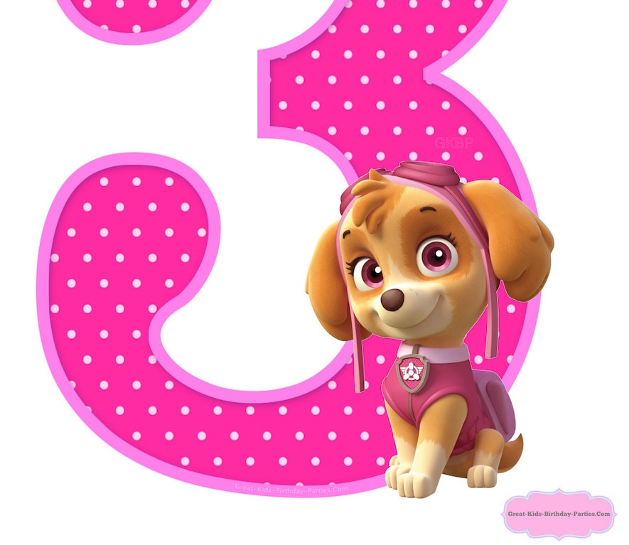 Paw Patrol Birthday Centerpiece Number 3 Paw Patrol Skye | Etsy