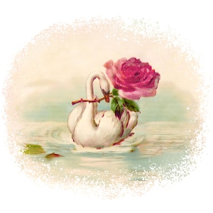 Boho Swan Clipart, Watercolor Swan Illustration, Swan Png, Floral Swan, Watercolor Clipart, Digital Clipart, Digital Crafting, Junk journal