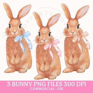 Bunny PNG, coniglietto pasquale acquerello, clipart coniglietto, sublimazione pasquale, Pasqua Coquette, buona Pasqua PNG, estetica fiocco rosa, preppy PNG