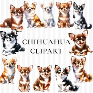 Chihuahua PNG, Chihuahua Clipart Bundle Set, Long Haired Chihuahua Short Haired Dog Lover Clip Art Set, Chihuahua Dog Mom Sublimation Design
