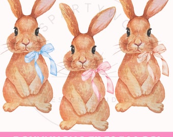 May include: Three watercolor illustrations of brown bunnies with pink and blue bows. The bunnies are sitting upright with their paws crossed. The illustrations are on a white background.
