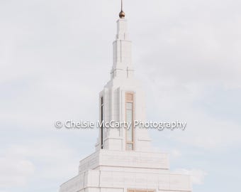 Farmington, NM Temple - Summer 5