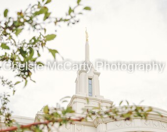 Payson Temple - 3