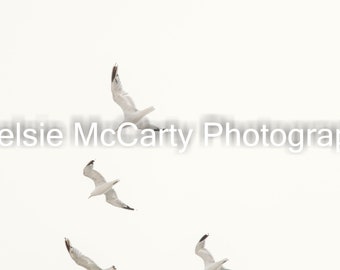In Flight