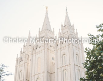 Salt Lake Temple - right angle