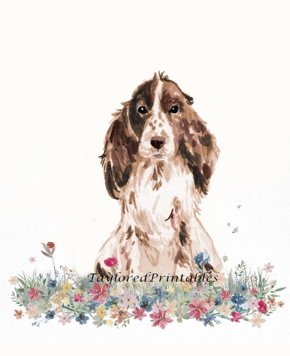 COCKER SPANIEL POSTER ANIMAL Unique Photo Art Print Gift Cat Dog Lovers