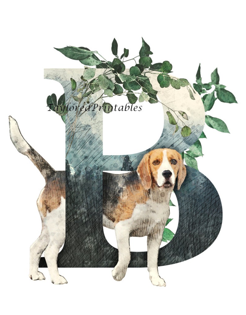 Buchstabe B BEagle Hund Hund Wand Kunst Aquarell Tier Hund Etsy