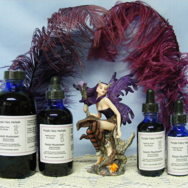 Organic Reishi Mushroom~Vibrationally Enhanced~Herbal Liquid Intentional Tincture~Dual Extraction