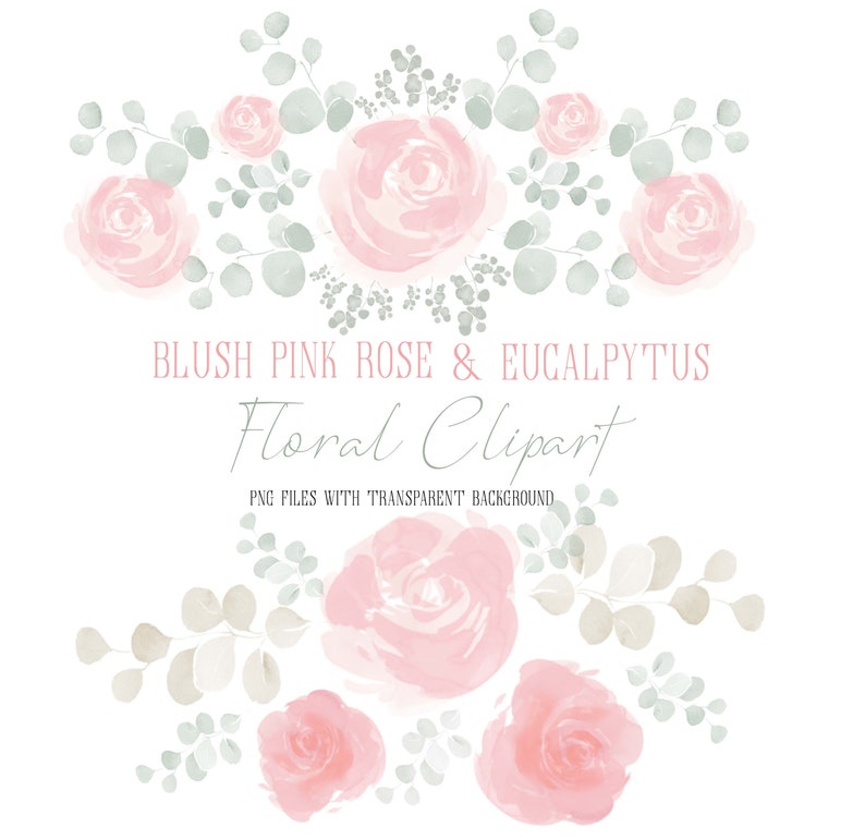 Watercolor Flowers Clipart Blush Pink & Eucalyptus - Etsy