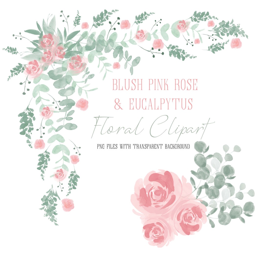 Watercolor Flowers Clipart Blush Pink & Eucalyptus - Etsy