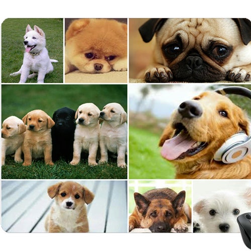 Your Photo Gallery Personalized Custom Mouse Pad Etsy