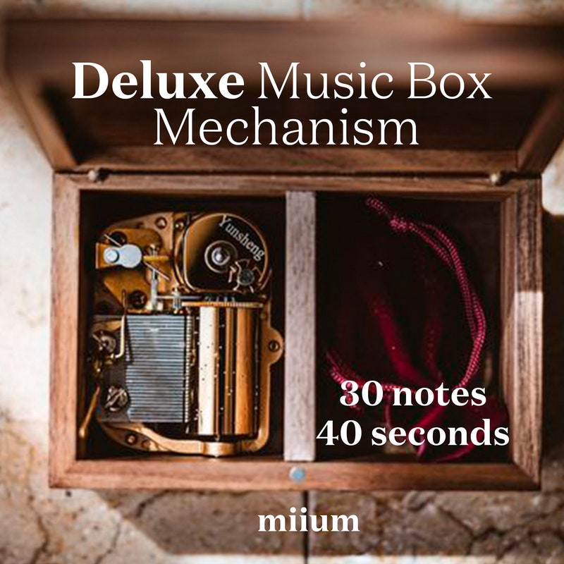 Sort Mechanism Custom Windup Music Box - Etsy