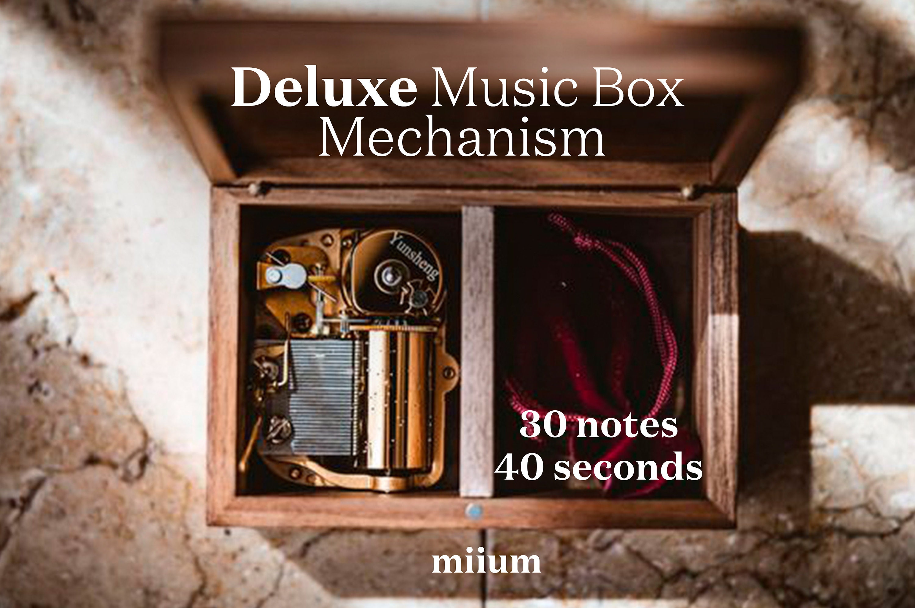 Deluxe Custom Music Box With Your Own Design and Melody | Natural