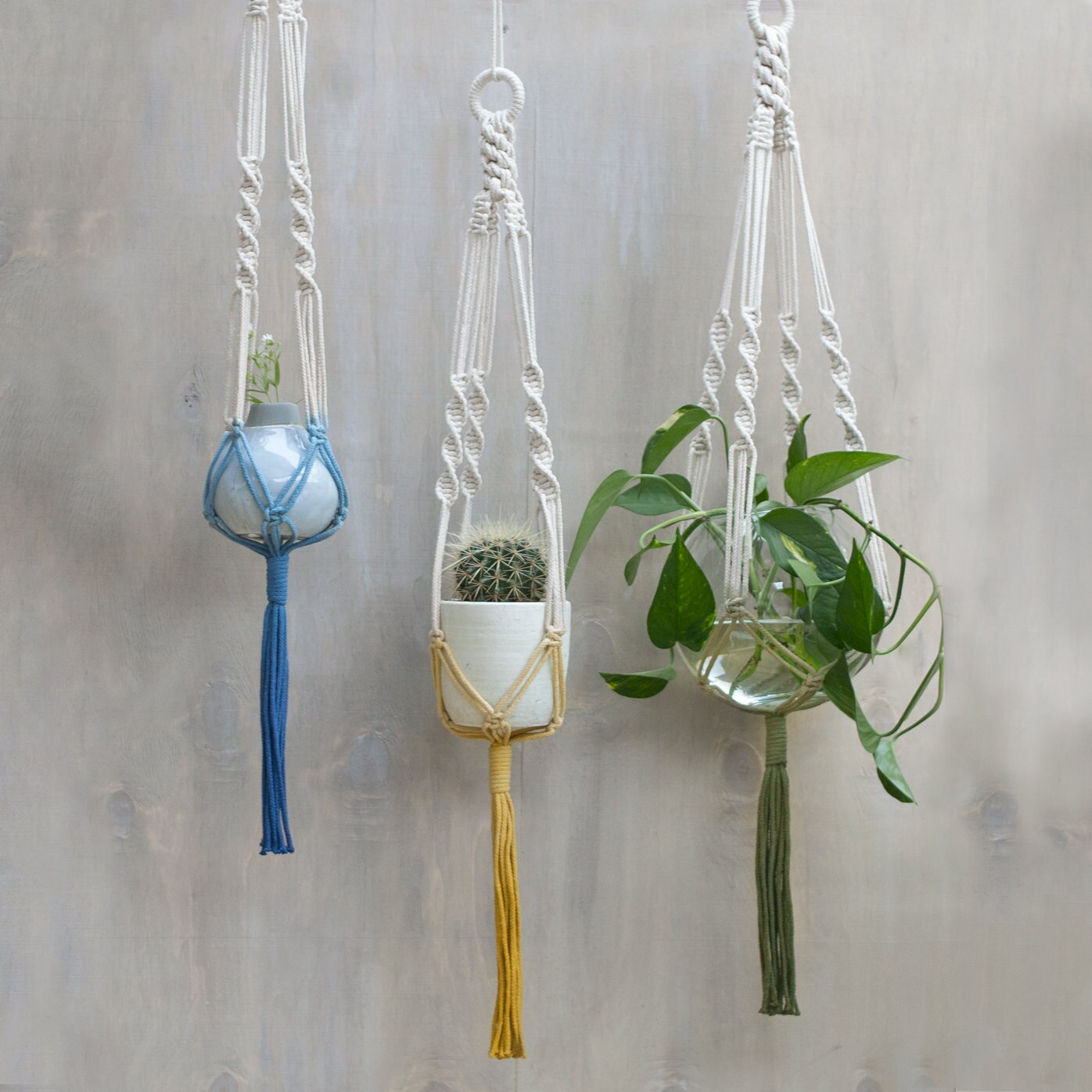 Macrame Plant Hanger - Knotted Hanging Planter Macrame Holder Pot Dip-Dye Colors Lily