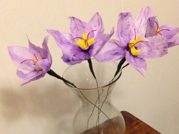 Les Fleurs De Crocus Safran Crocus Fleurs En Papier Café Filtre Fleurs