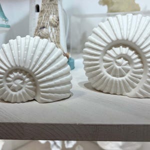 May include: Two white ceramic ammonite shell sculptures. The larger shell is on the right and the smaller shell is on the left. Both shells have a spiral pattern.