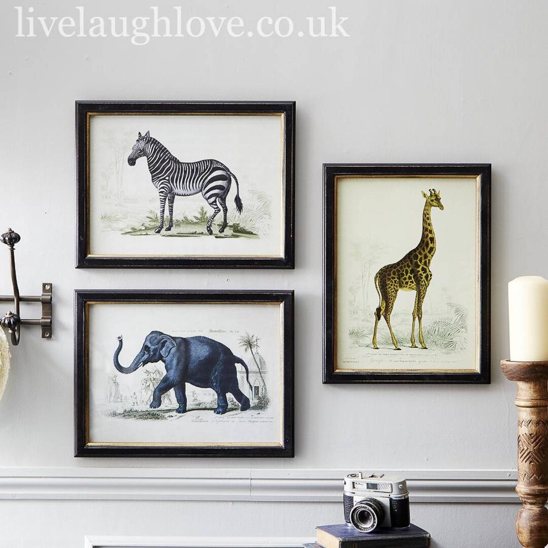 Safari Animal Prints Set of 3 - Etsy