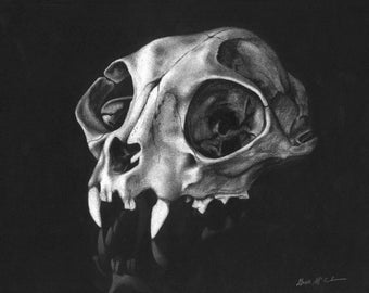 Cat Skull (original drawing)