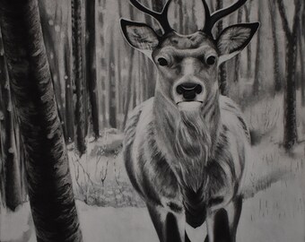 Stag (print)