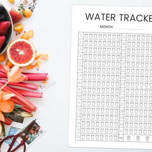 以下が含まれることがあります： 「WATER TRACKER」と「MONTH:」というテキストが上部に書かれた白黒の印刷可能なウォータートラッカー。トラッカーは、月の日を表す31列と、コップ1杯の水を表す16行で構成されています。