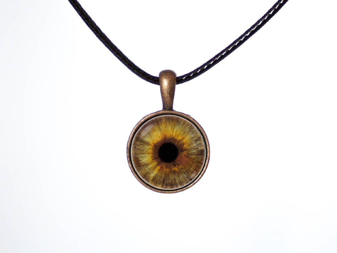 Eye Choker Brown Eye Choker Black Cord Human Eye Choker Eyeball Jewelry