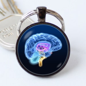 Può includere: Un portachiavi d'argento con un ciondolo rotondo di vetro che presenta un'illustrazione anatomica blu e viola di un cervello umano.
