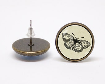 Mariposa polilla pendientes niñas regalo joyas mariposa insecto joyas insectos joyas mujer polilla regalo para hija