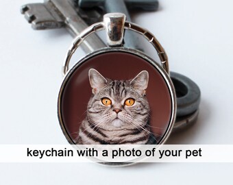Op de afbeelding: Een zilveren sleutelhanger met een ronde, heldere glazen hanger met een foto van een tabbykat met oranje ogen. De kat kijkt recht in de camera.