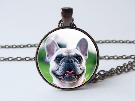 french bulldog with chain