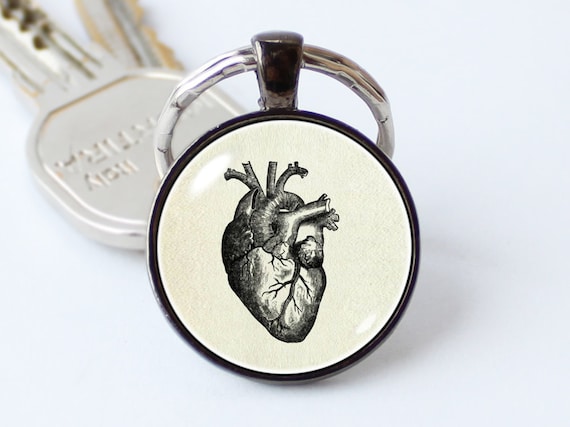 Regalos De Anatomía Gris - España