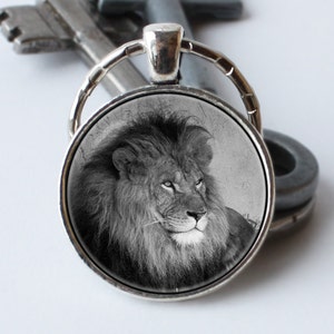 Lion Acrylique Porte-clés Lions Famille Intéressant Drôle Amour Animal  Charms 2d Porte-clés Père Mère Fils Cadeau Voiture Porte-clés Porte-monnaie