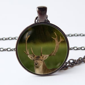 Deer antlers necklace Buckhorn jewellery Deer pendant Deer jewelry Animal necklace Animal pendant Antler necklace Photo pendant Woods Wild