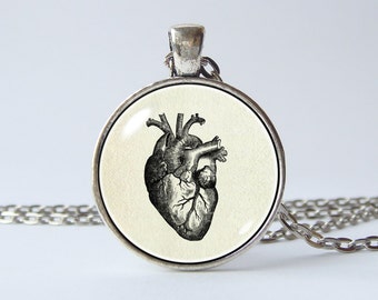 Anatomical heart necklace Heart pendant Lifelike heart necklace Gothic heart necklace Human heart Anatomy necklace Doctor's gift Medical