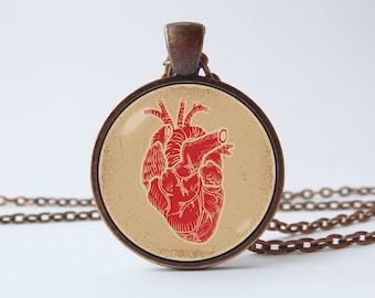 Anatomy necklace Anatomical heart Lifelike heart necklace Heart pendant Heart jewelry Human heart Doctor's gift Medical Science necklace