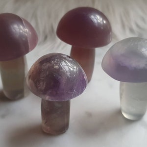 Fluorite Mushrooms, Crystal terrarium, Magical Mushrooms,  Handcarved Crystal Mushroom, Mushroom Carving