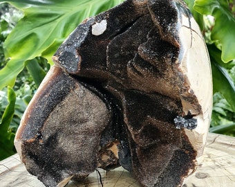 大型セプタリアン卵、ドゥルージークリスタルセンター - Etsy 日本