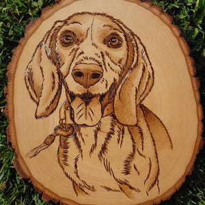 Wood Burned Pet Portraits