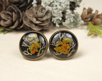 Lichen and Moss Resin Black Stud Earrings