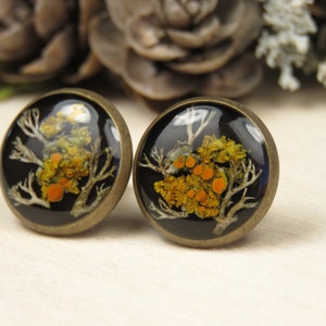 Lichen and Moss Resin Black Stud Earrings image 3