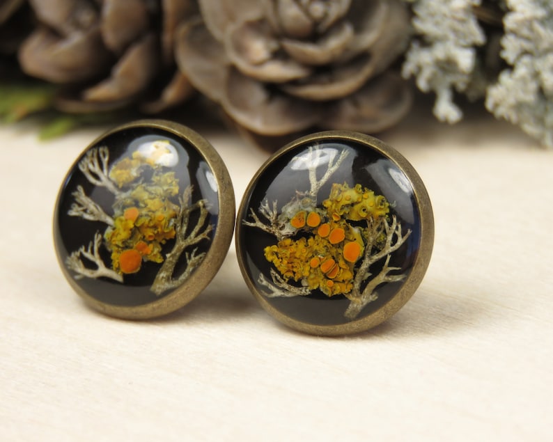 Lichen and Moss Resin Black Stud Earrings image 3