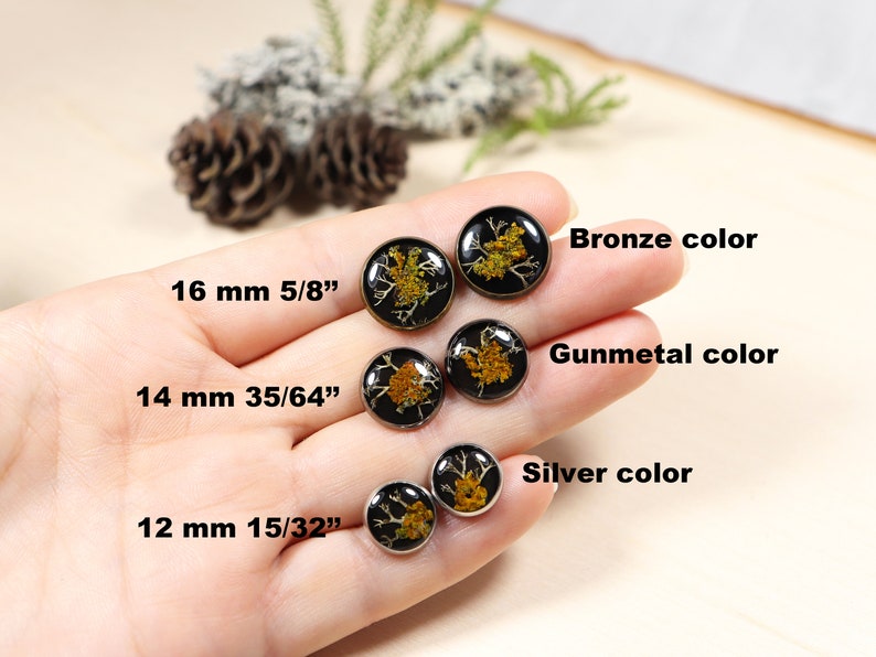 Lichen and Moss Resin Black Stud Earrings image 9